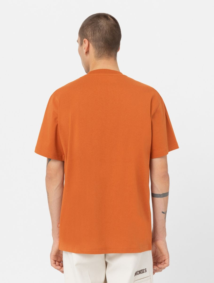 Summerdale S/S T-Shirt Bombay Brown