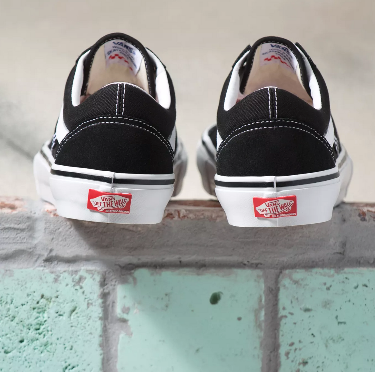 Skate Old Skool Pro Shoes Black/White