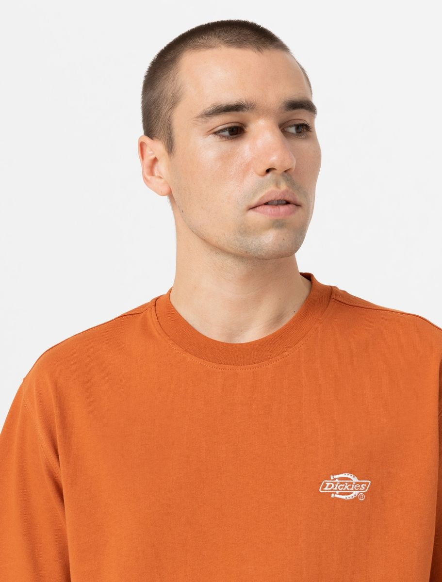 Summerdale S/S T-Shirt Bombay Brown