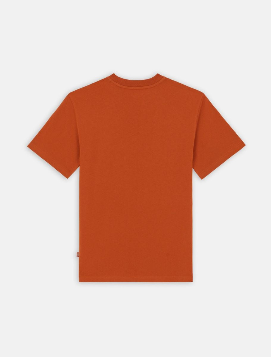 Summerdale S/S T-Shirt Bombay Brown