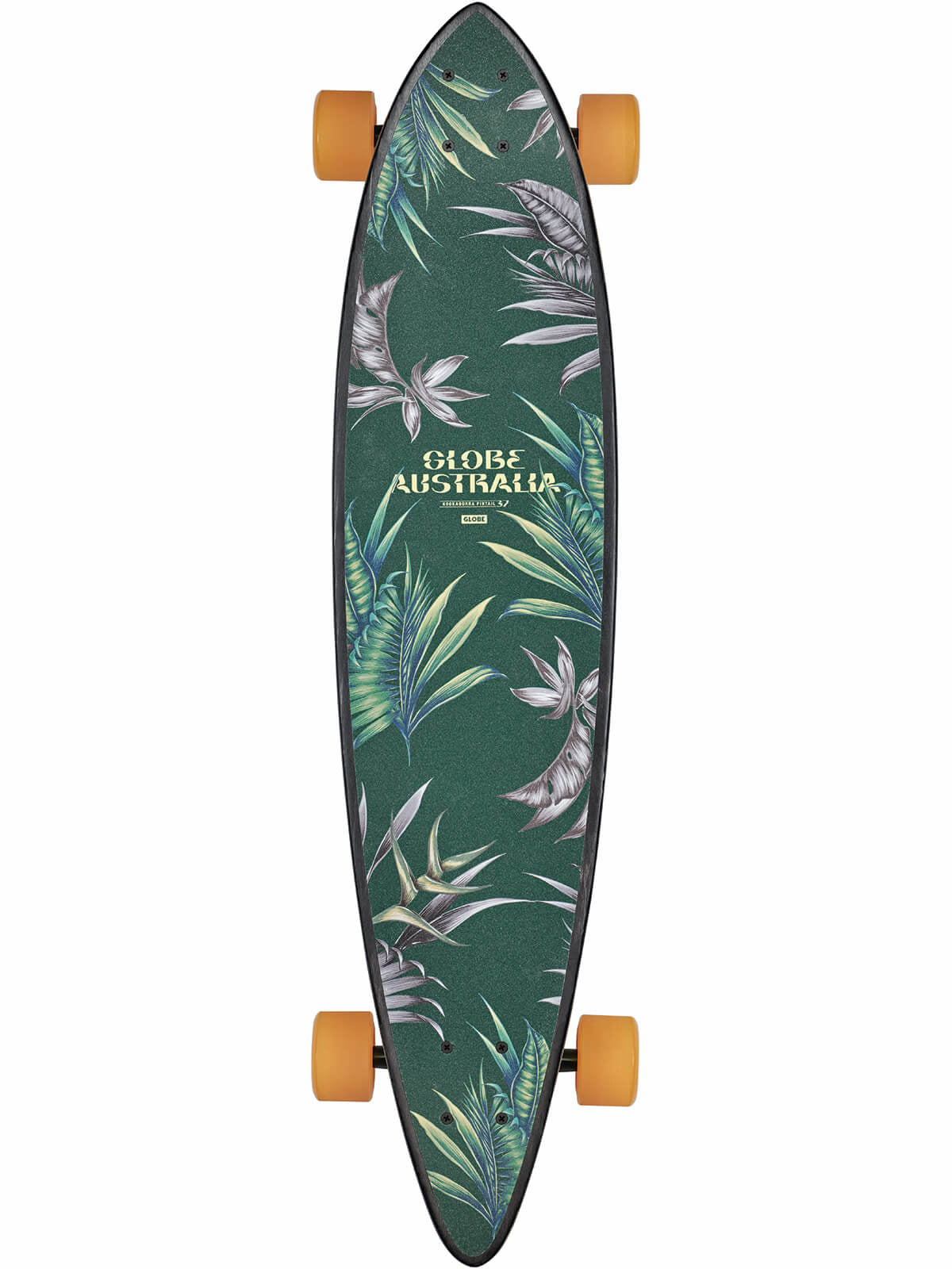 Pintail 37 Longboard Kookaburra
