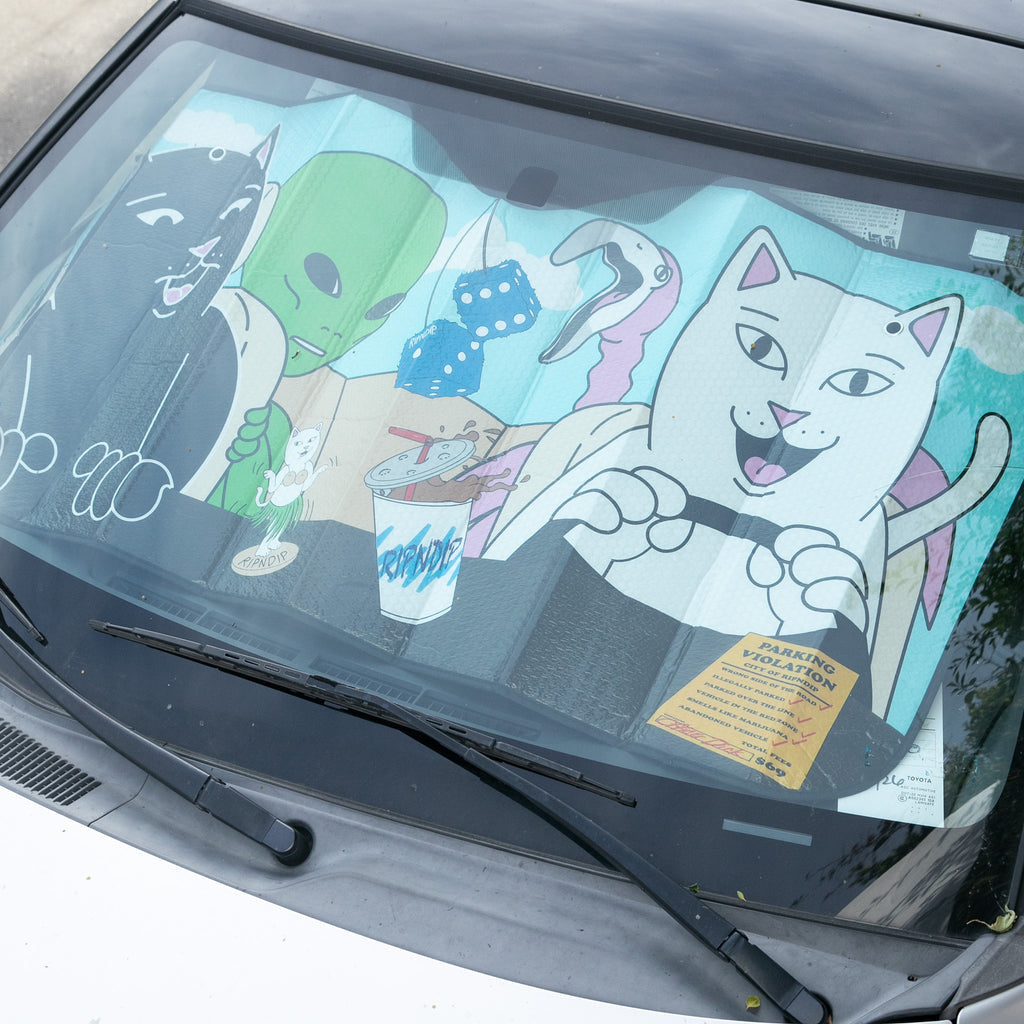 Road Trip Car Shade